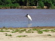 Rio Pantanal